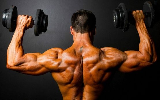 Enantato de Testosterona: Efecto de la Ingesta Enantato de Testosterona: Efecto de la Ingesta